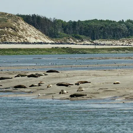 Bel Avec Vue Sur La Baie D'authie דירה *