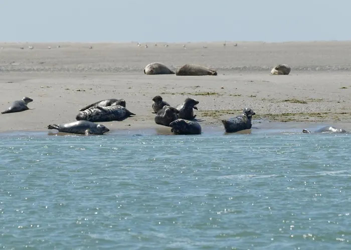 Apartman Bel Avec Vue Sur La Baie D'authie
