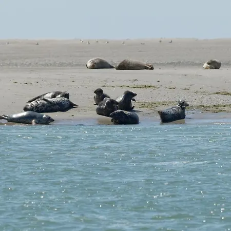 Διαμέρισμα Bel Avec Vue Sur La Baie D'authie
