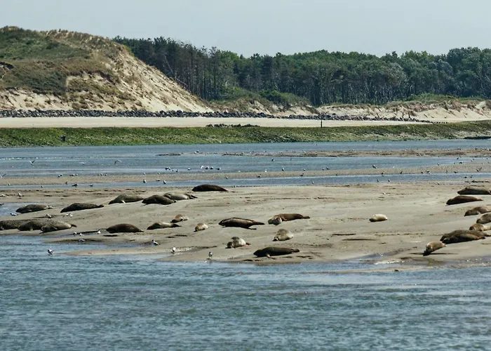 Bel Avec Vue Sur La Baie D'authie 아파트 *